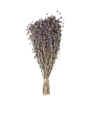 Травяные пучки и изделия из трав