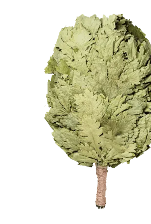 Веники для бани